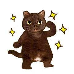 [LINEスタンプ] 保護猫スタンプ～チョコレート色のココア～