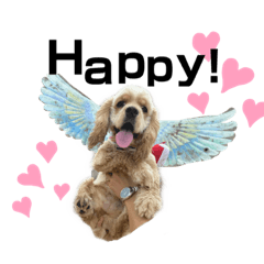 [LINEスタンプ] アメリカンコッカースパニエルのぬぴちゃん
