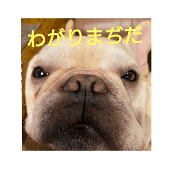 [LINEスタンプ] プタウタモガ