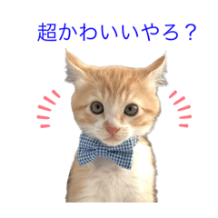 [LINEスタンプ] ルナさんのスタンプ作りました