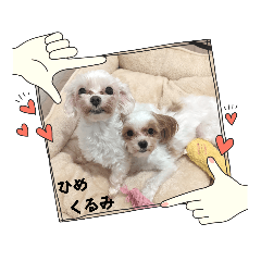 [LINEスタンプ] くるみ＆姫