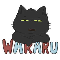 [LINEスタンプ] ひたすらわかってくれる猫