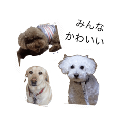 [LINEスタンプ] かわいい犬 2