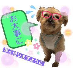 [LINEスタンプ] マルスFamily6(ブリュッセルグリフォン)