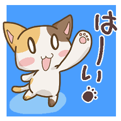 [LINEスタンプ] 楽しいネコの日常スタンプ