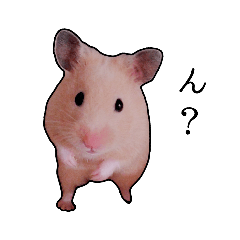 [LINEスタンプ] ハムタンスタンプ