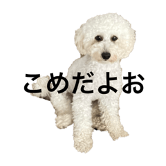 [LINEスタンプ] こめやでぇ