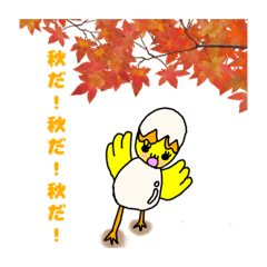 [LINEスタンプ] 色とりどりグループ