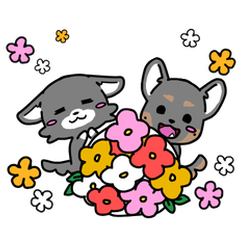 [LINEスタンプ] ちびクロ犬