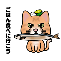 [LINEスタンプ] 茶トラ猫のみゃお② 秋イラストの画像（メイン）