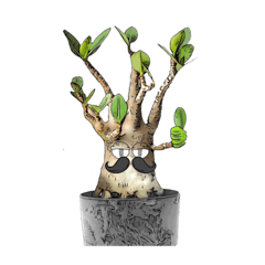 [LINEスタンプ] 塊根植物-コーデックス-ユーフォルビア