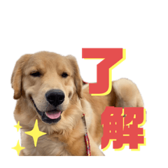 [LINEスタンプ] ぼくはチャック