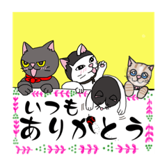 [LINEスタンプ] イエネコ感謝祭