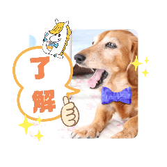 [LINEスタンプ] ダックス③