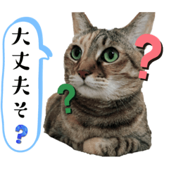 [LINEスタンプ] サトウケノネコ