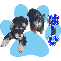 [LINEスタンプ] ナナとルナ