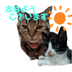 [LINEスタンプ] ミィミ＆ムックの日常1