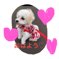 [LINEスタンプ] マルプ♡