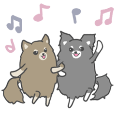 [LINEスタンプ] まんまるチワワ ＊日常＊