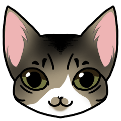 [LINEスタンプ] うち猫のすーちゃん