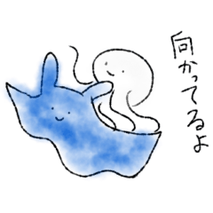 [LINEスタンプ] クラゲの可愛いスタンプ