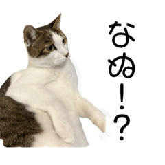[LINEスタンプ] ぎーの日常  第2弾