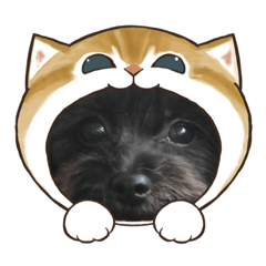 [LINEスタンプ] モフココア