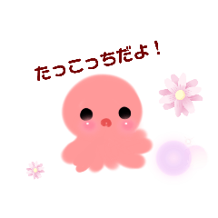 [LINEスタンプ] たっこんスタンプ