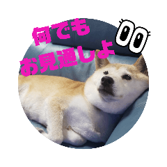 [LINEスタンプ] みんなと一緒23