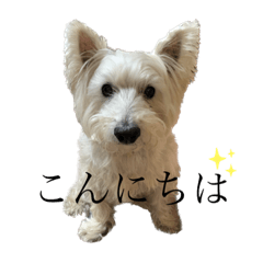 [LINEスタンプ] マロン -あいさつver-