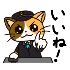 [LINEスタンプ] 【毎日使える】ねこの運転士さんスタンプ