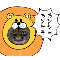 [LINEスタンプ] ムタオのスタンプ