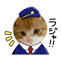 [LINEスタンプ] 16個/CAT/保護猫ちゃんズ・写真スタンプ