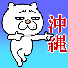 [LINEスタンプ] 【沖縄弁】ウザ～～い猫★沖縄の画像（メイン）