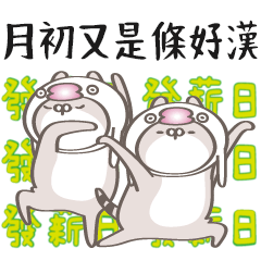 [LINEスタンプ] 猫と鳥の事 ※鳥卦は担当外 (台湾漢字)