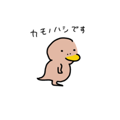 [LINEスタンプ] カモ野ハシ彦