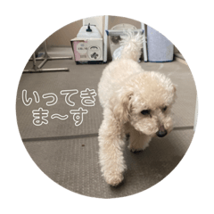 [LINEスタンプ] そーちゃんず・スタンプ②