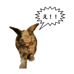 [LINEスタンプ] うさぎのサンとノア(日本語)