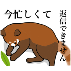 [LINEスタンプ] レッサーパンダの日常1（美術の課題）