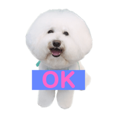 [LINEスタンプ] TOYNICO