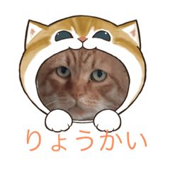 [LINEスタンプ] チャマロミニスタンプ