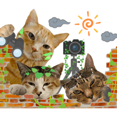 [LINEスタンプ] Johnny ＆ Chocola ＆ かりん ⑩