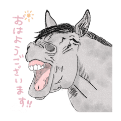 [LINEスタンプ] 馬好きが作った馬好きのためのスタンプ。