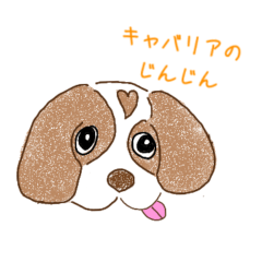 [LINEスタンプ] キャバリアのじんじん