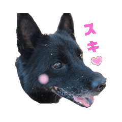 [LINEスタンプ] みかんの挨拶