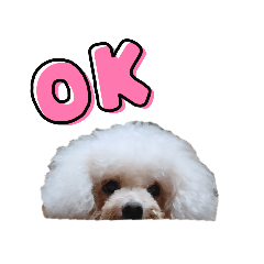 [LINEスタンプ] みるしょこぽん2