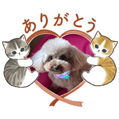[LINEスタンプ] 愛月パート15