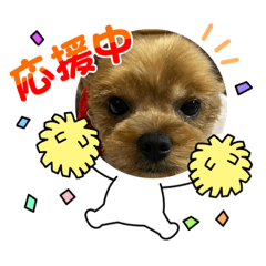 [LINEスタンプ] いとしのあと君の画像（メイン）