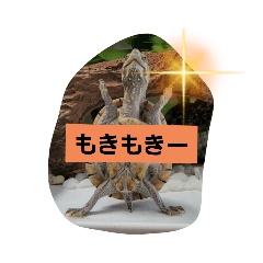 [LINEスタンプ] ぺれの日常