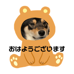 [LINEスタンプ] 柴犬のごまさんです。